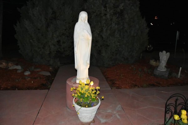 Vigil25